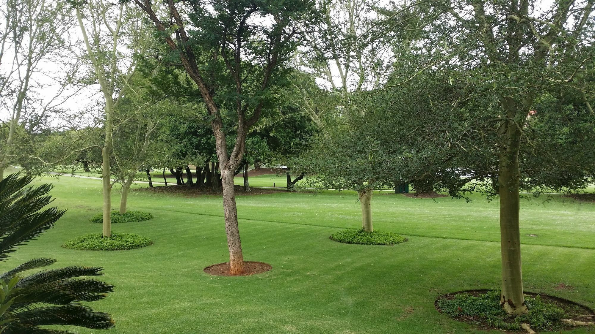 פרטוריה The Woodpecker Inn מראה חיצוני תמונה